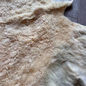 Luxurious Cream Sheepskin Rug-New Great to drape on back of sofa/bedside floor
